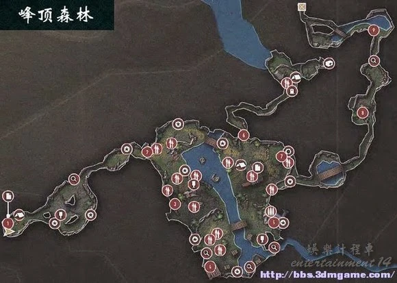 峰顶森林.webp